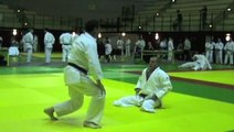 12 techniques imposées Jujitsu (adapté)