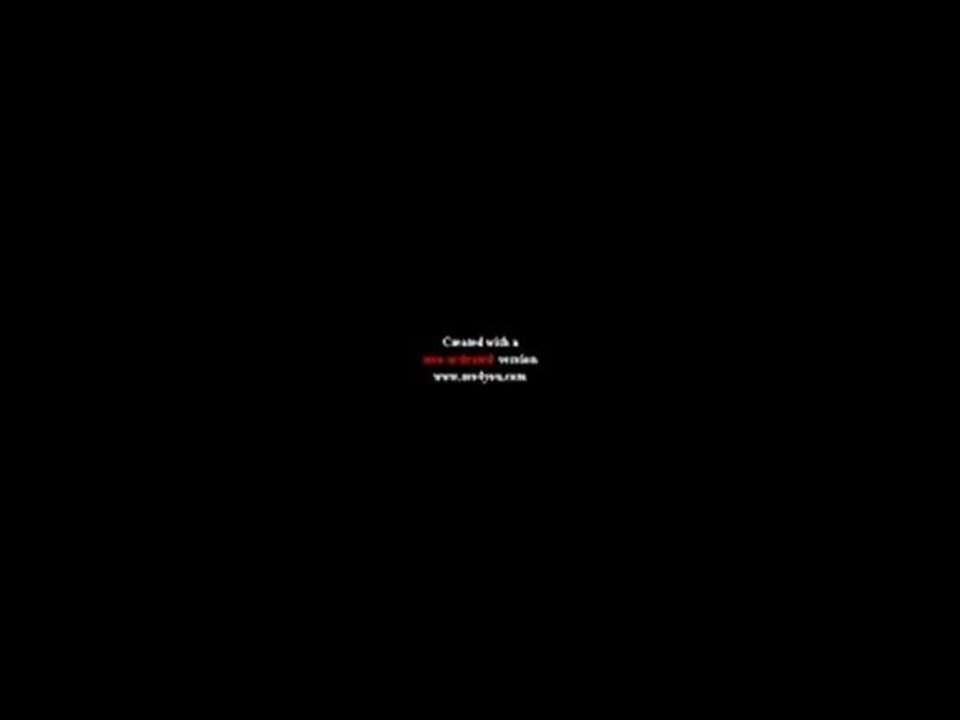 Pur Hip Hop  D.A.N.Y & Raphsix.  Album Loyaler Immigrant