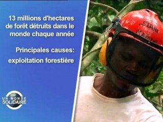 Un monde solidaire : Défi Environnement au Gabon