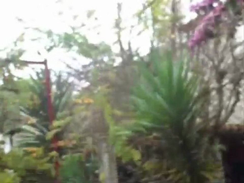 Quinta das Azáleas, Teivas