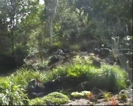 Hawaii 2009 - LOST Tour Kate and Sawyer Waterfall