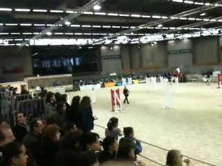 Lou et Biscotte (tour d'honeur)