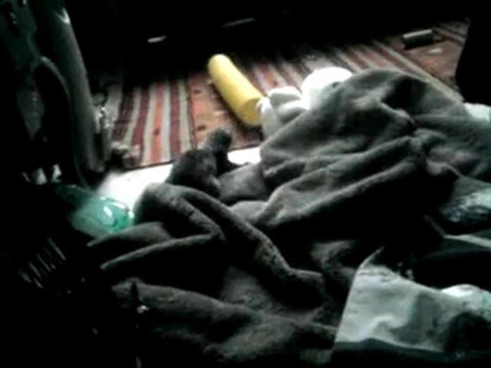 Vidéo0003