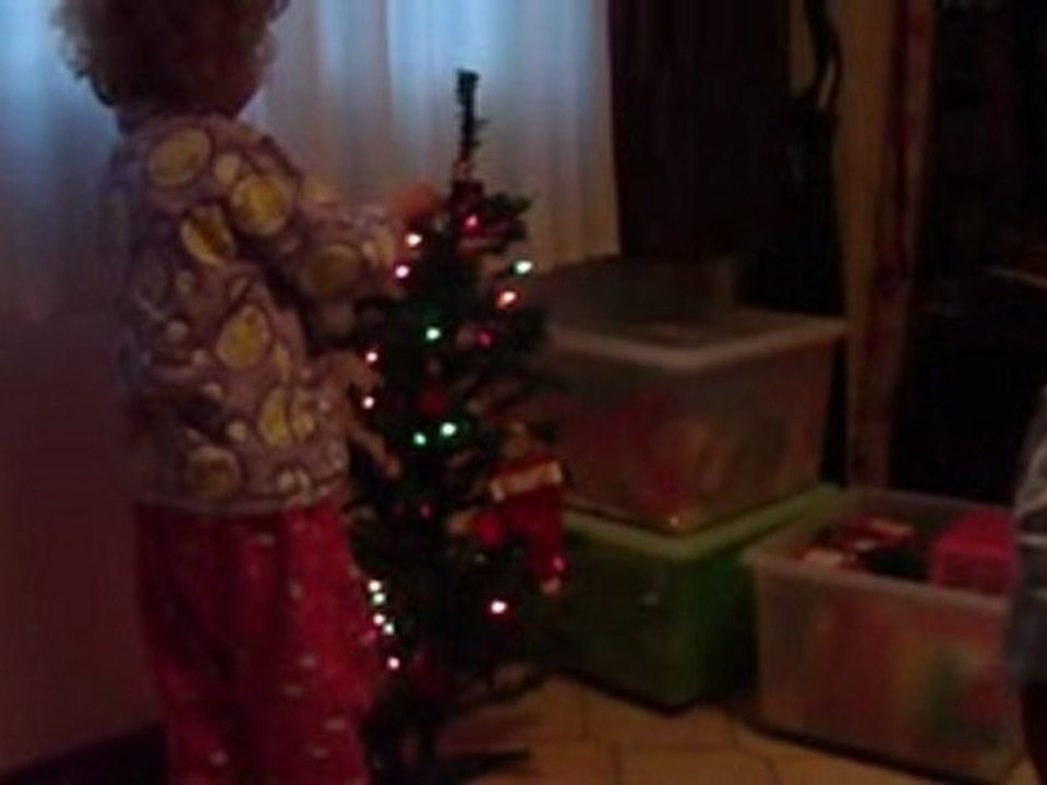 Sapin 2009 (sd)