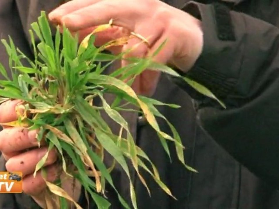 Bilan de campagne 2009 et recommandations 2010