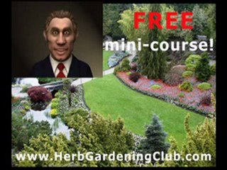 Free Mini-Course: Master Herb Gardening Today 🌿