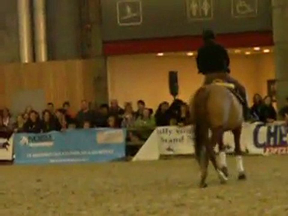 Salon du Cheval 06/12/2009 - Démo Andy Booth