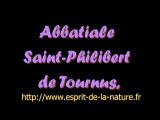 Geobiologie : Abbaye saint Philibert Tournus eglise romane