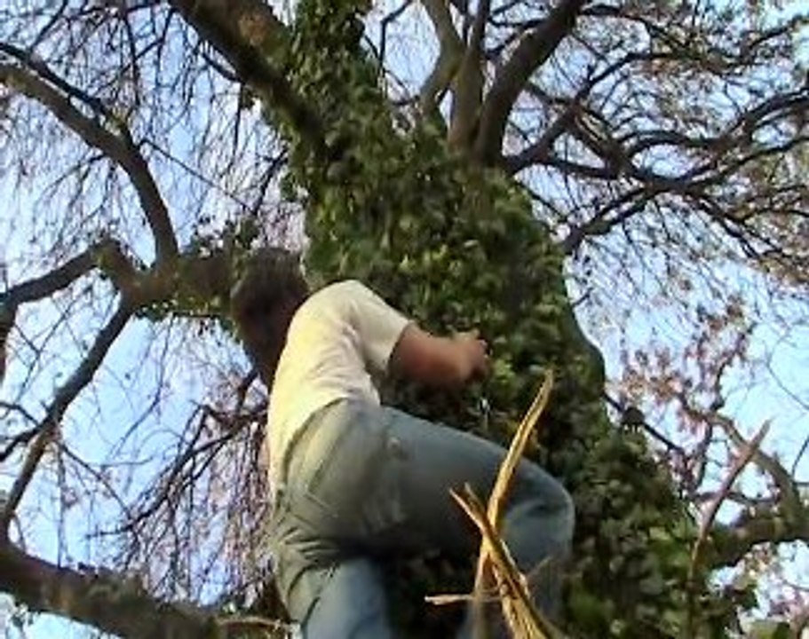 Générique temporaire de la 3ème saison d'Attention Spoil