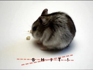 Stanislavski, de Ferrán Brooks