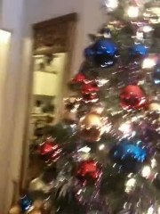 maritza y alfredo en mi cumpleanos