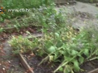 Cop15. Life in Copenaghen: uno zoo sotto casa