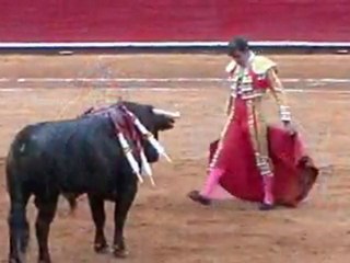 José Tomás en la México