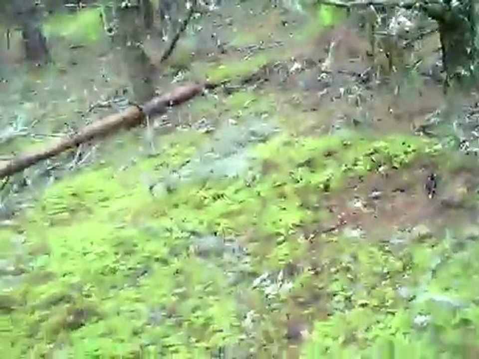 Sortie du 9/12 au LD "Ron dé Trécénious" rapproché & lancé