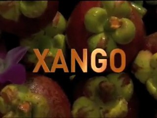 Xango: Empresa, Corporativo, Productos, Proposito.