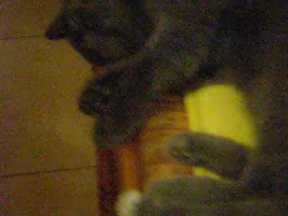 DSCN1957