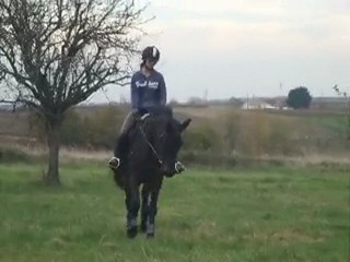 Cheuv' et moi, petit trot :)