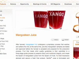 Is the XanGo 3 Step Plan a Scam?