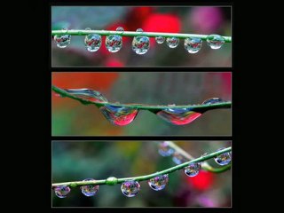 Payduska Balkan Havaları Balkanlıyız Balkancıyız