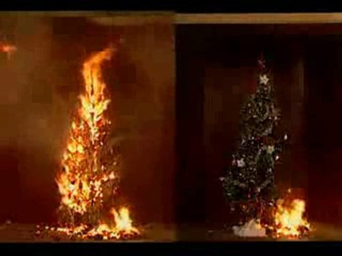 Groninger Insurance Erie Insurance Auto Quote Referral conte