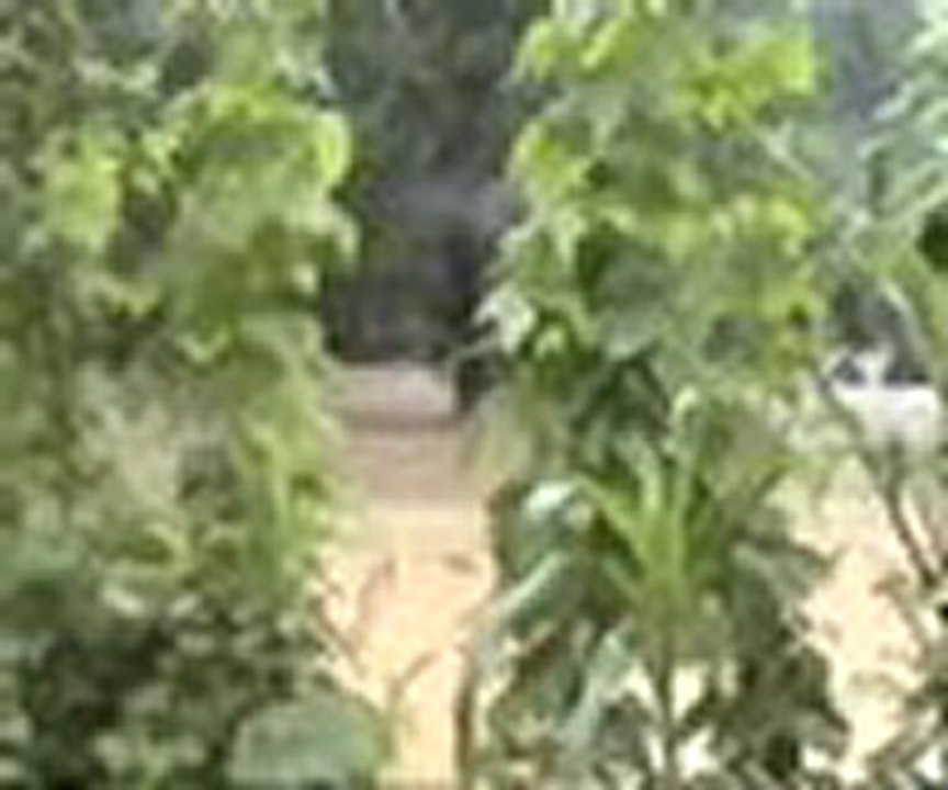 Of Aşağı Kışlacık Köyü Sel Felaketi