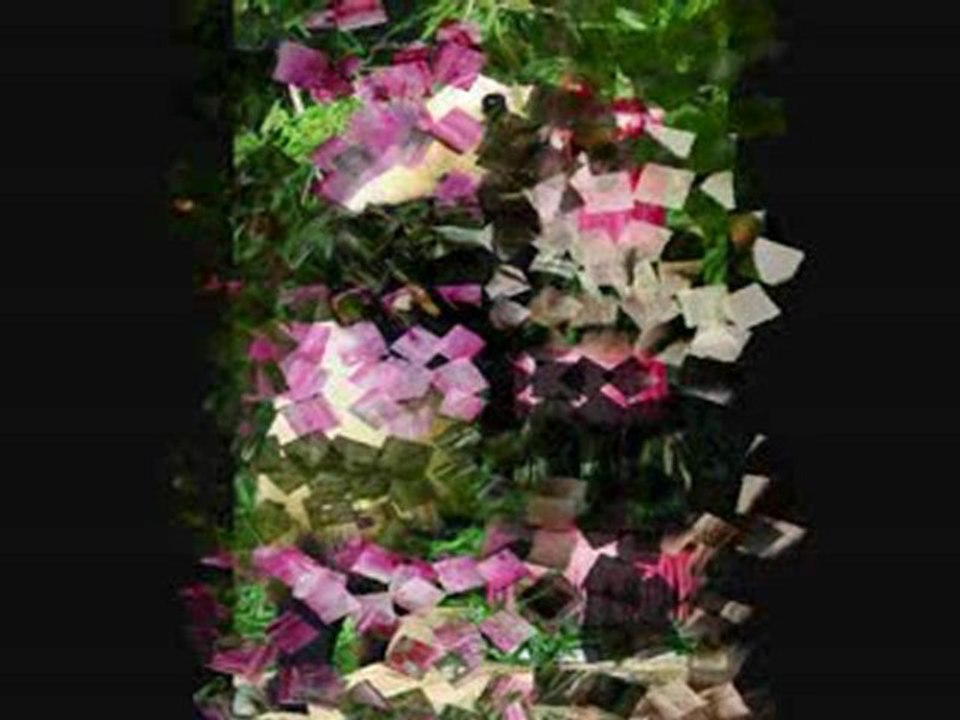 生日快乐 Mo !! ;-)