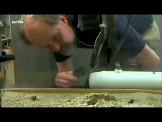 Le mystère de la webcam de Lovita résolu par la science