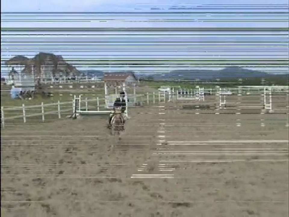 Saison de Concours 2008