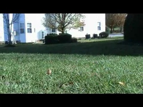 Merry Christmas from Reid Baer