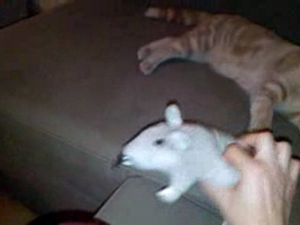 Diégo et le rat 1