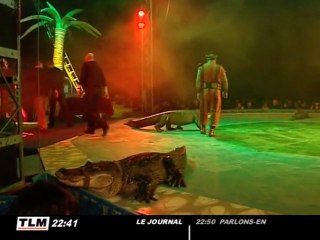 Lyon : Le cirque sur l'eau à la Part Dieu