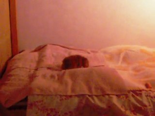 Brin de folie chez Lilou