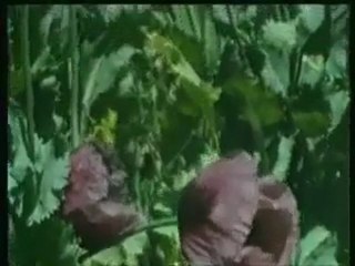 Özdemir Erdoğan - Gurbet (Çöpçüler Kralı)