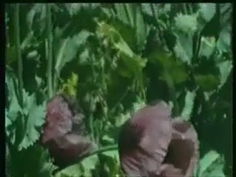 Özdemir Erdoğan - Gurbet (Çöpçüler Kralı)