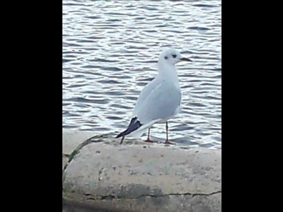 Mixtimes_2_rap_rnb_musique chretienne_foi_christembassy