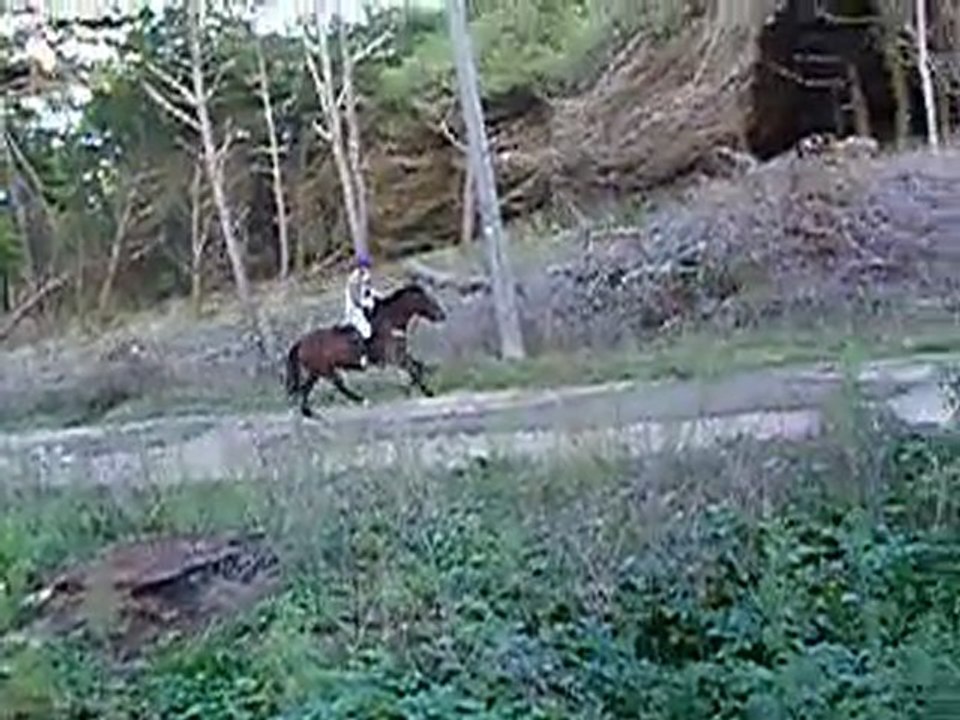 Play Boy II en cross dans la forêt