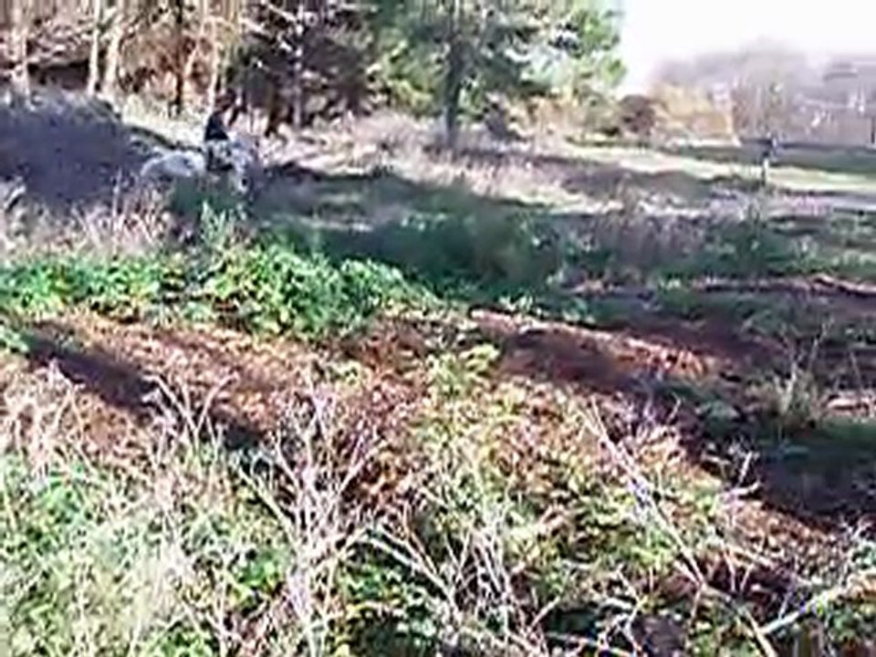 Anne et Jimbo en cross dans la forêt