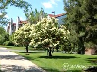 Remington Place Apartments in Schaumburg, IL-ForRent.com