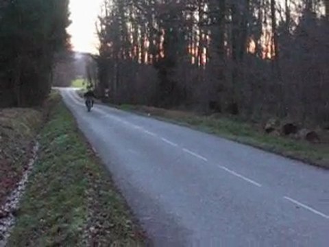 Dt pvl ana' 85cc by Lock