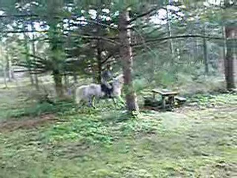Jimbo et Anne au saut de la table de pic nique