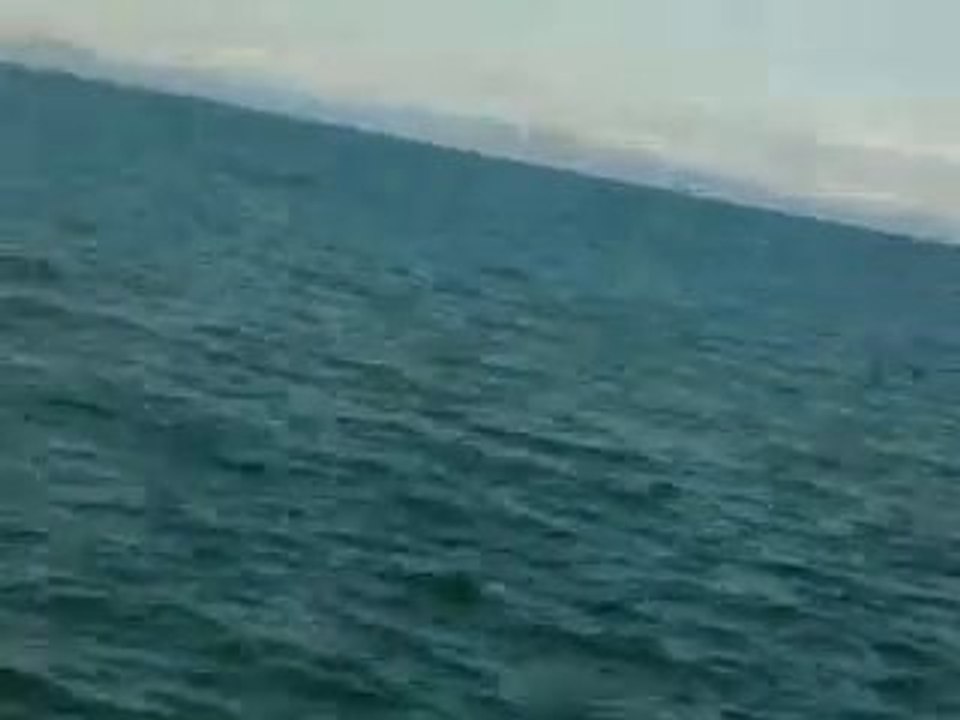 Cankurtaran PERA