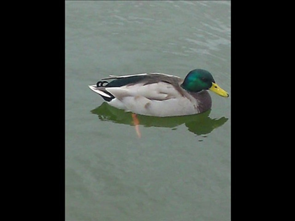 Mixtimes_2_rap_rnb_musique chretienne foi christembassy