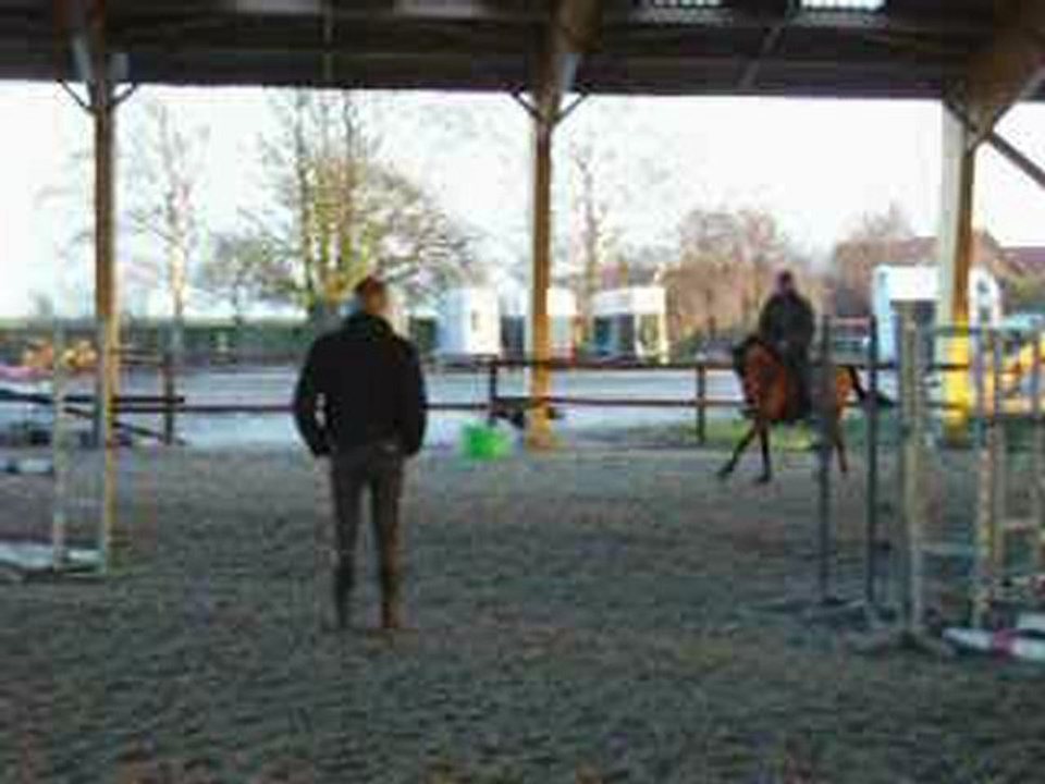 Indian Charm jument 4 ans