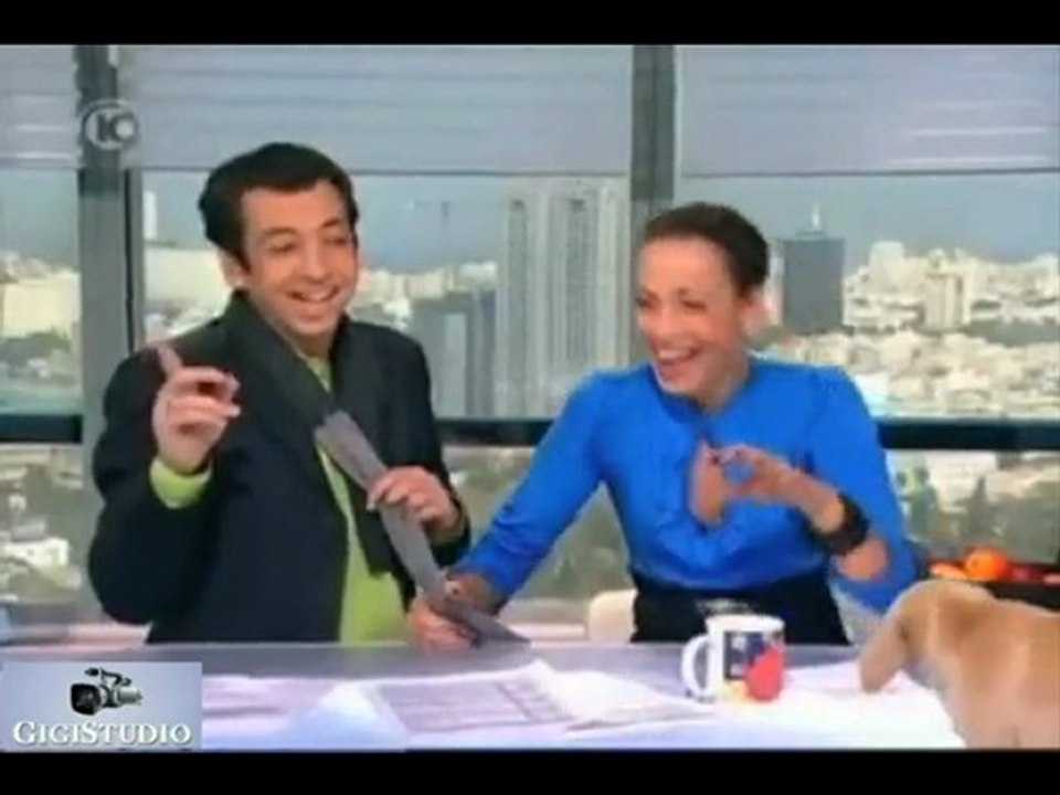 dog fail : un chien fait ses besoins sur un plateau tv