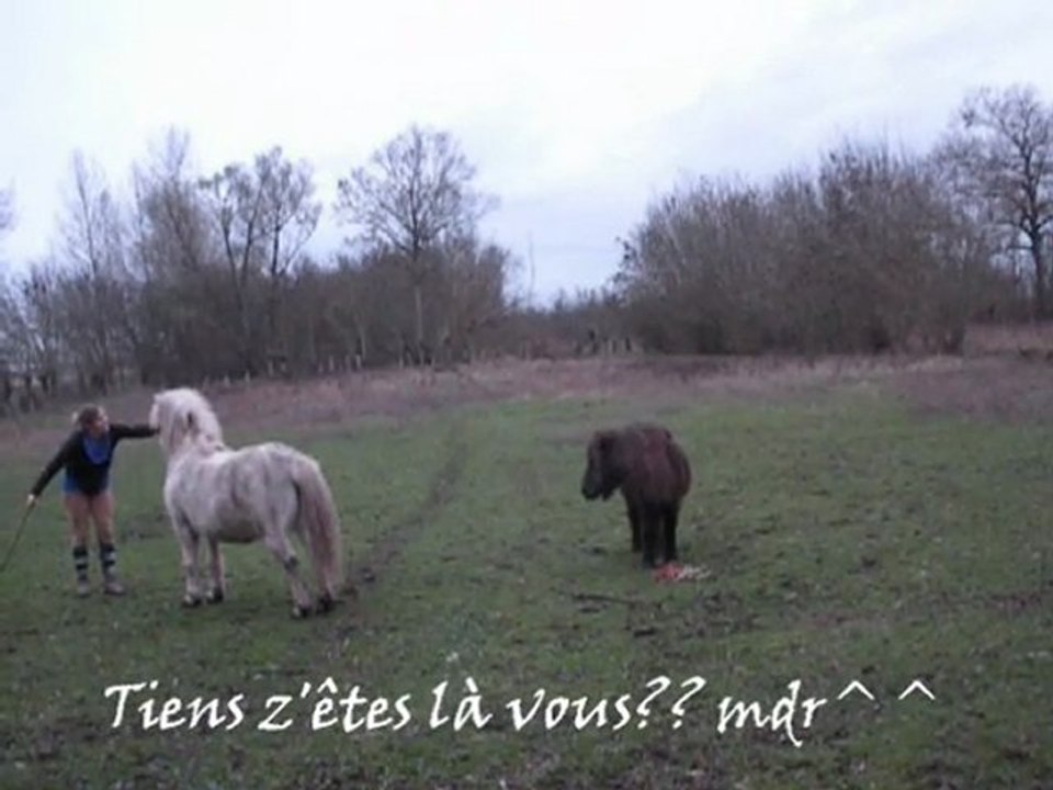 willow 5 déc