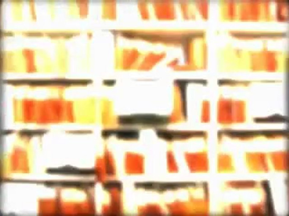 Criminal Public Records