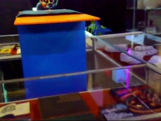 INTERSCULPT 2009 / Fête de la Science / Gare de Metz