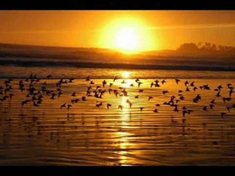 annem hakkın helal eyle hattabınoğlu