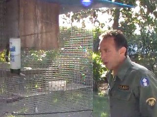 MICHAEL POGGI'S EXOTIC PETS - MARMOSET MONKEYS