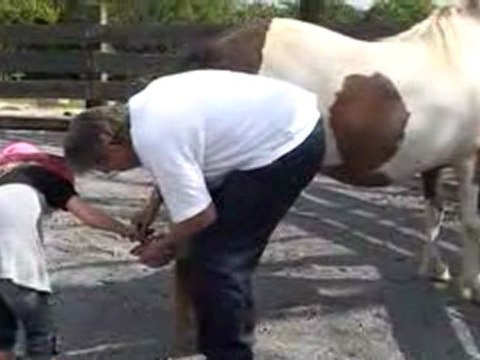 DOMAINE DE RABREUX L ENFANT ET LE CHEVAL ISLANDAIS- MARECHAL